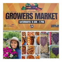 Growers Market Images